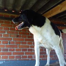 Blanding af racer Tor R.I.P d 7 nov 2013