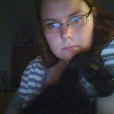 Amerikansk cocker spaniel Cainan