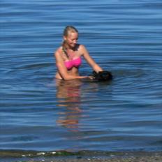 Blanding af racer Lucky 