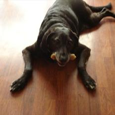 Blanding af racer ollie