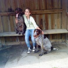 Ruhåret hønsehund Richo:)