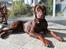 Dobermann RD Attractive Anastacia - 15 mdr