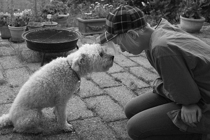 Blanding af racer Billy "Greece" - What are words if you really dont mean them when you say them? <3 Fotograf: Sara :D billede 11