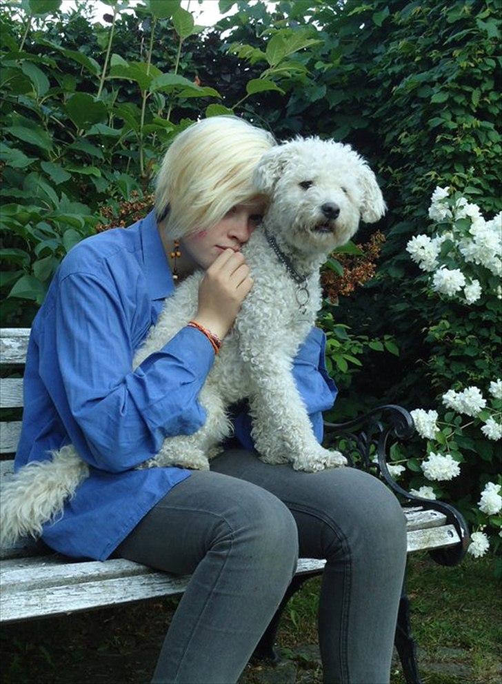 Blanding af racer Billy "Greece" - Hygge i haven <3 billede 8