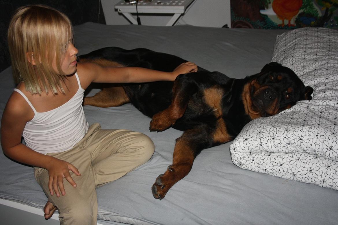 Rottweiler Haiki´s Aica - Aica, 29 mdr: Puttehund :D billede 19