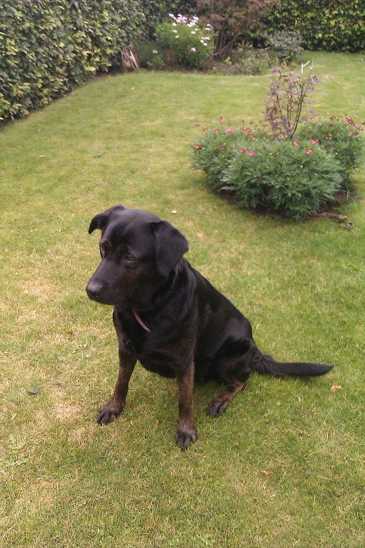 Blanding af racer Luna <3 min prinsesse billede 1