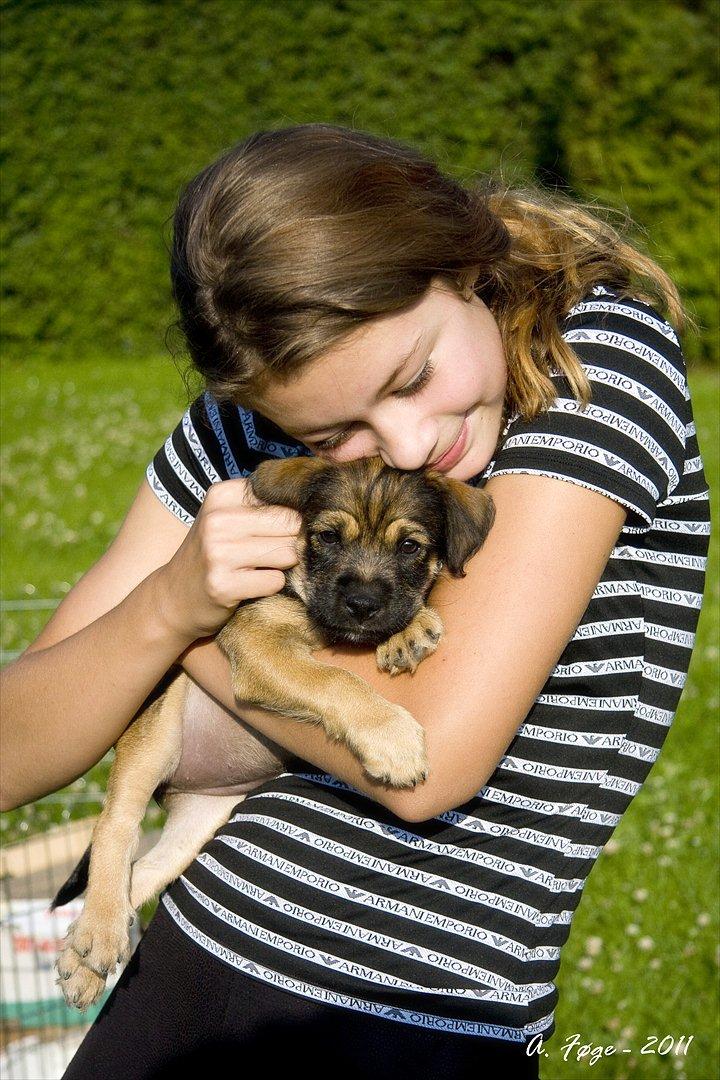 Blanding af racer Thea - Mig og min elskede Thea billede 9