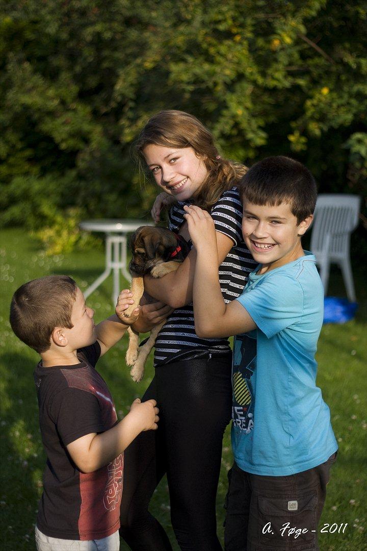 Blanding af racer Thea - Mig, Thea og mine lillebrødre billede 12