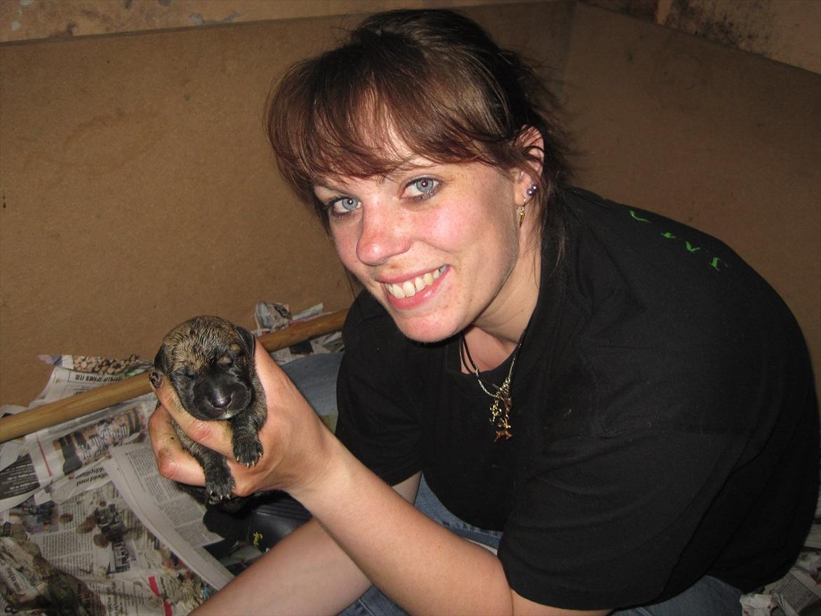 Grand danois Alcapone - Her er jeg sammen med min mor/ejer, se lige hvor stolt hun er for mig;o)  billede 4