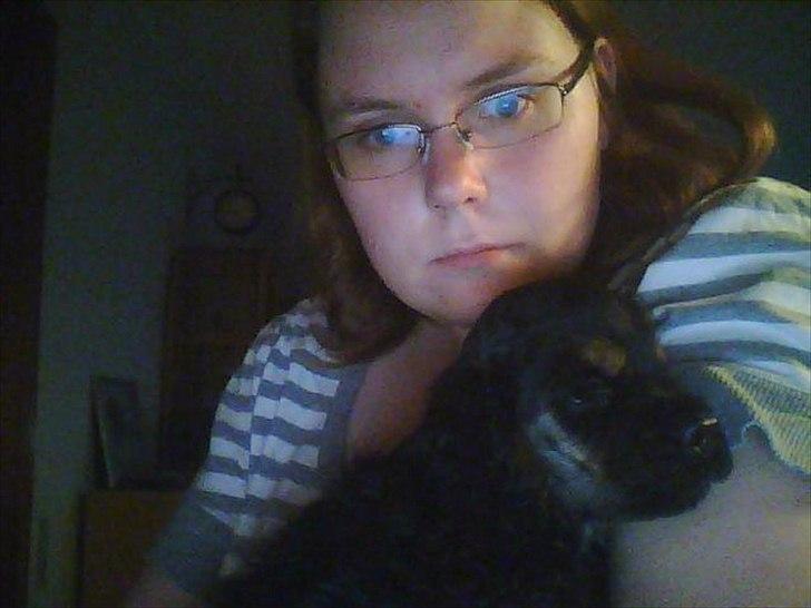 Amerikansk cocker spaniel Cainan billede 2