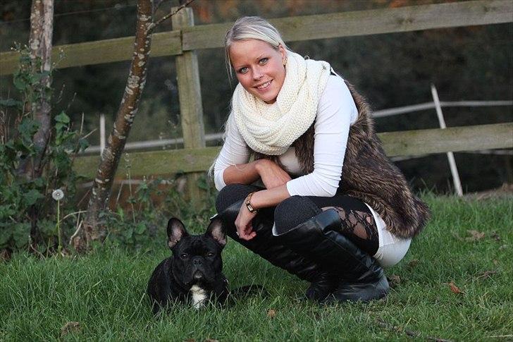 Fransk bulldog Tayson billede 1