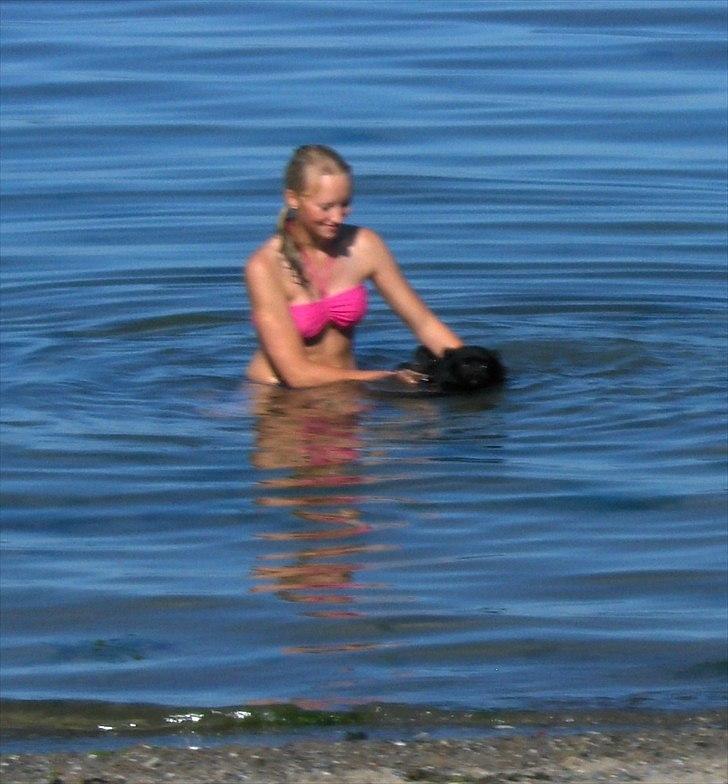 Blanding af racer Lucky  - ved stranden sommer 2011 billede 2