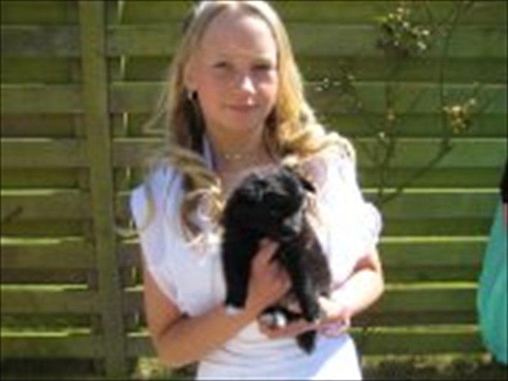 Blanding af racer Lucky  - til min komfirmation 2009 :D billede 3