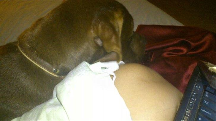 Blanding af racer Mikkel billede 4