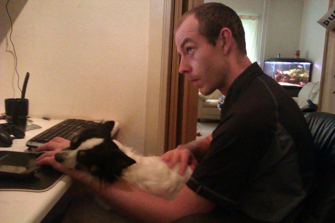 Blanding af racer Baluh - hvorfor ligge for sig selv når man kan ligge hos far mens der blir spillet?! billede 18