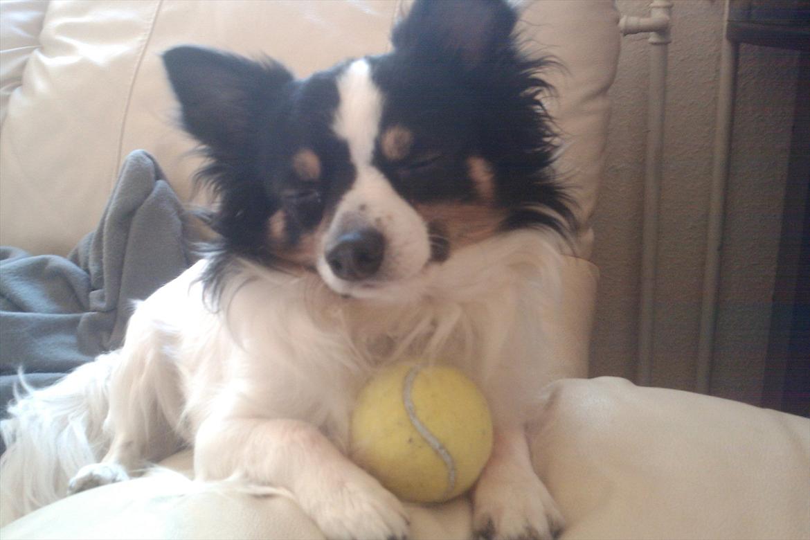 Blanding af racer Baluh - Så spændene var bolden så heller ikke når man er træt efter en tur i slots parken billede 20