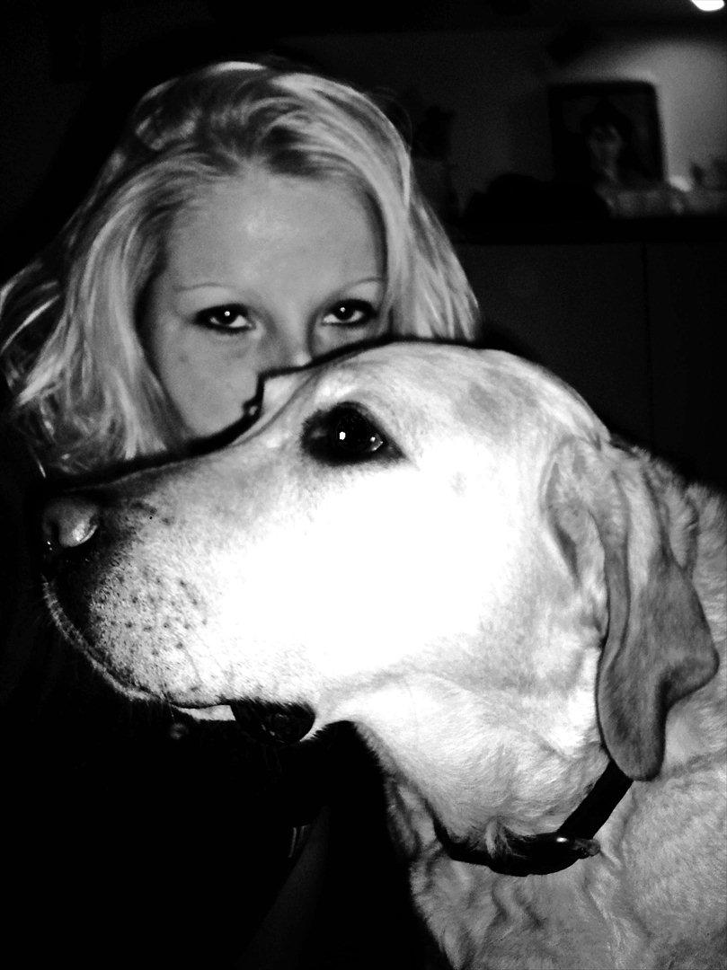 Labrador retriever Lucka - 05.10.11
 billede 19