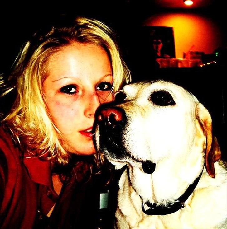 Labrador retriever Lucka - fordi vi er ét ! <3 05.10.11 billede 20