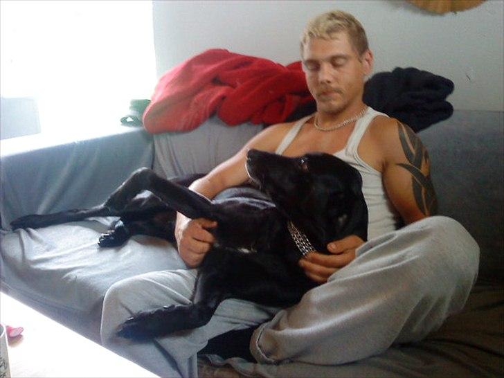 Blanding af racer Freja billede 3