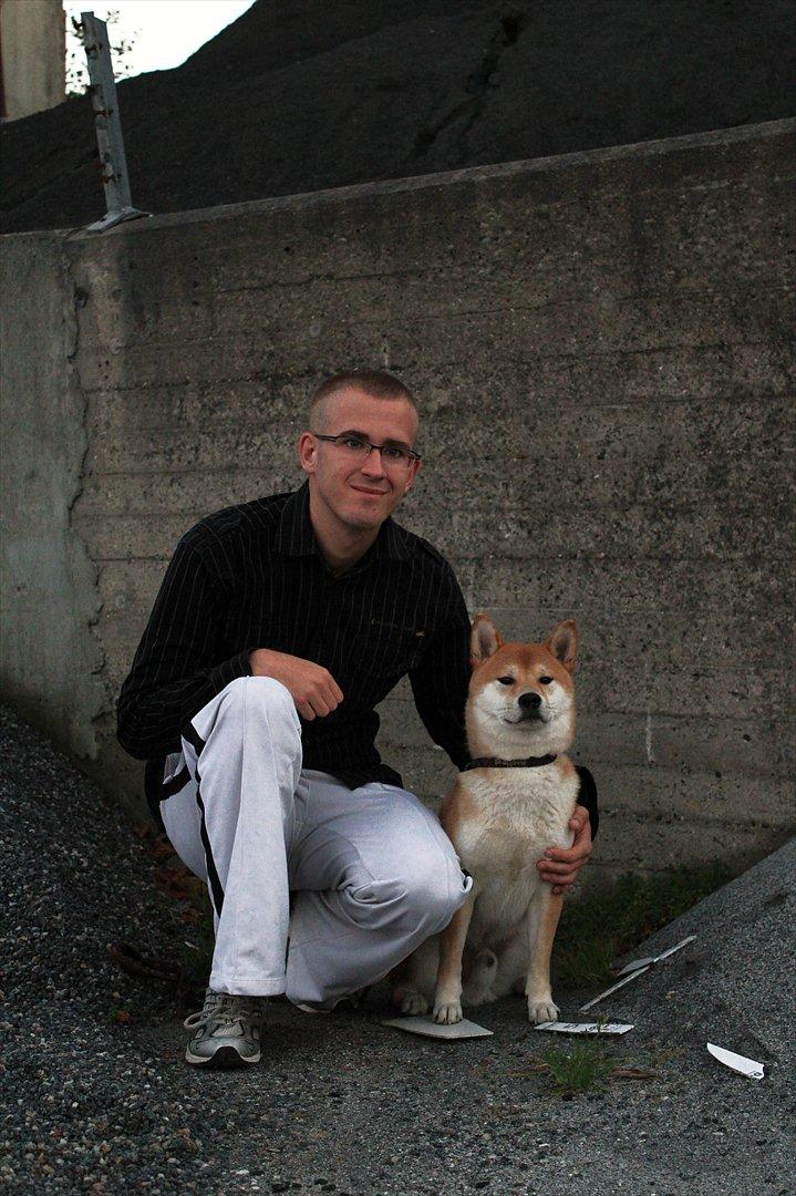 Shiba Simba (Alina's Beniaka) billede 1