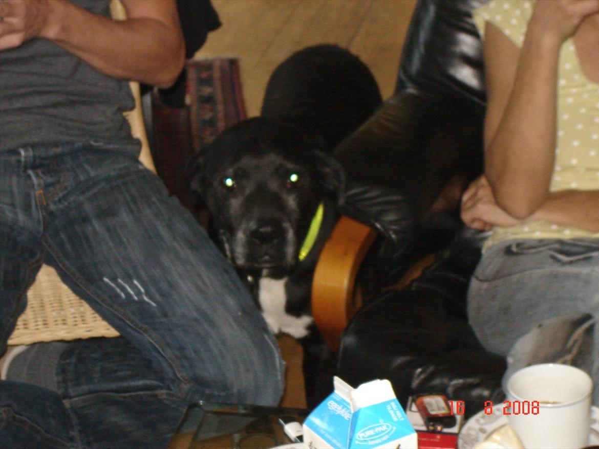 Blanding af racer Camilla Aka. Tøsen R.I.P billede 11