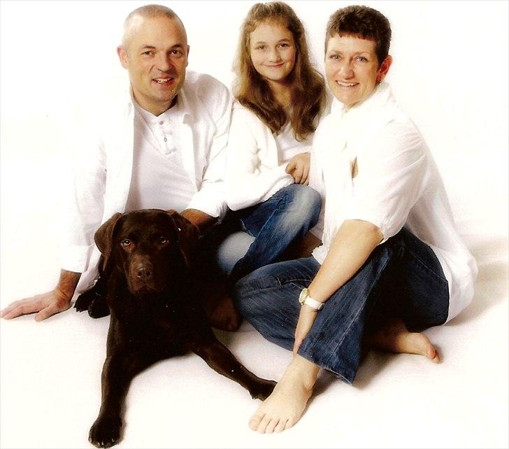 Labrador retriever Balder - Hele familien:D billede 12