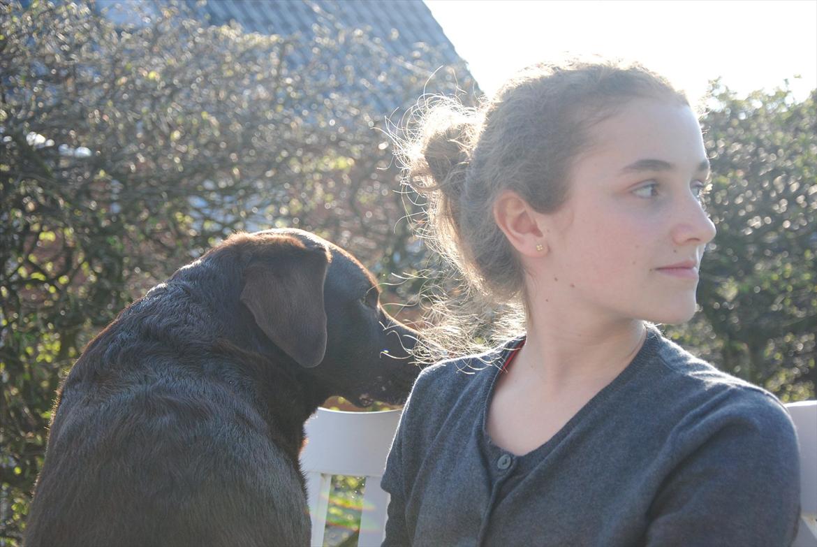 Labrador retriever Balder - Balder og mig!<3 billede 19
