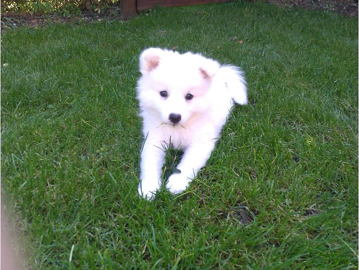 {{currentPhoto.altText}} billede {{currentPhoto.number}}