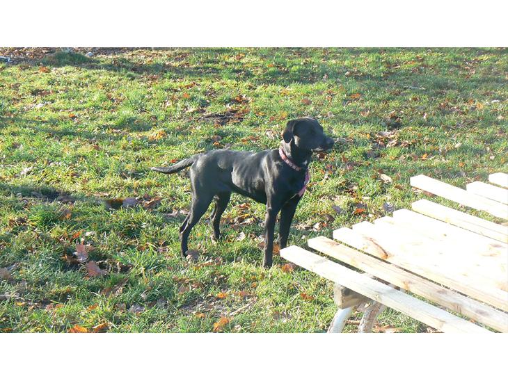 {{currentPhoto.altText}} billede {{currentPhoto.number}}