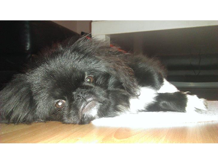 {{currentPhoto.altText}} billede {{currentPhoto.number}}