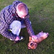 Blanding af racer Oscar