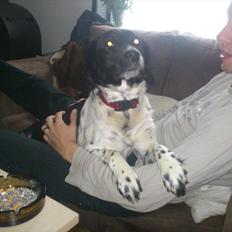 Blanding af racer Mille