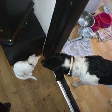 Blanding af racer milla