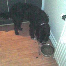 Blanding af racer Mille