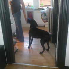 Blanding af racer rucco