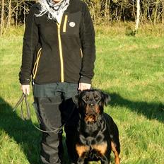 Rottweiler Kakestto's Fibie (05/05-10 - 03/09-14)