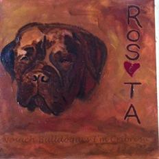 Dogue de bordeaux Den røde tønde, Rosita. R.I.P.