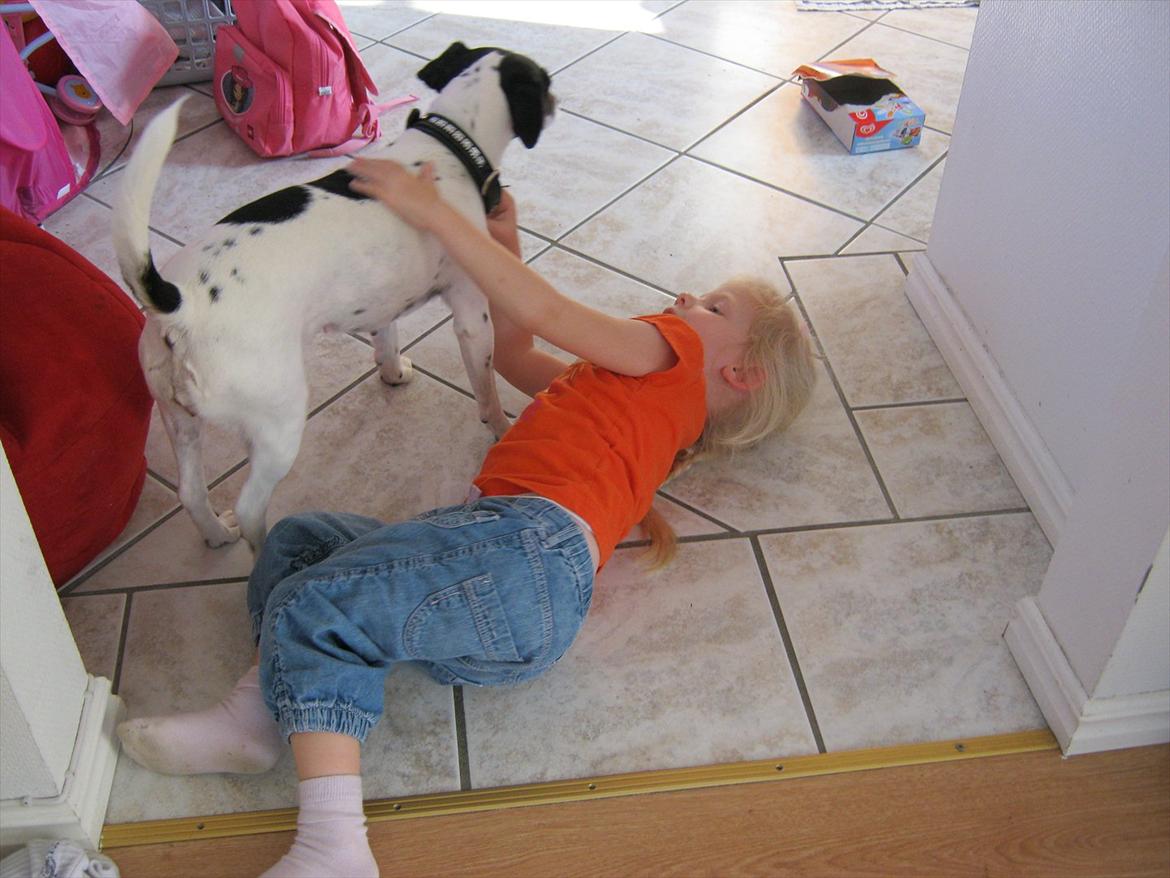 Blanding af racer MAI billede 9