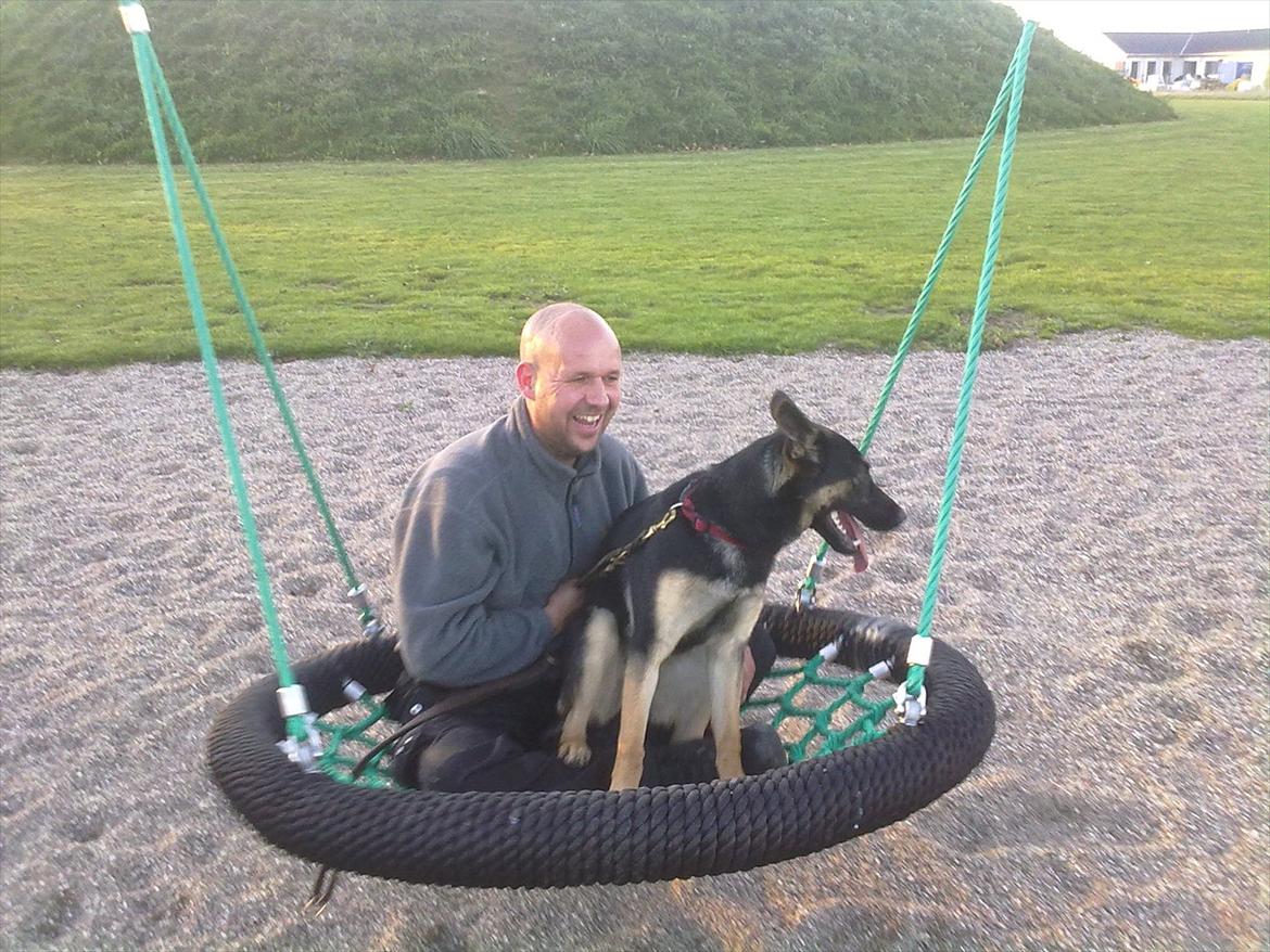 Schæferhund Juice 17/2-2011 - 7/9-2021 - 13-10-11 I Gyngen med Far. billede 31