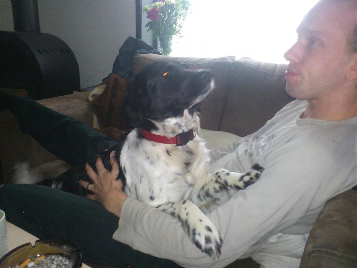 Blanding af racer Mille billede 4