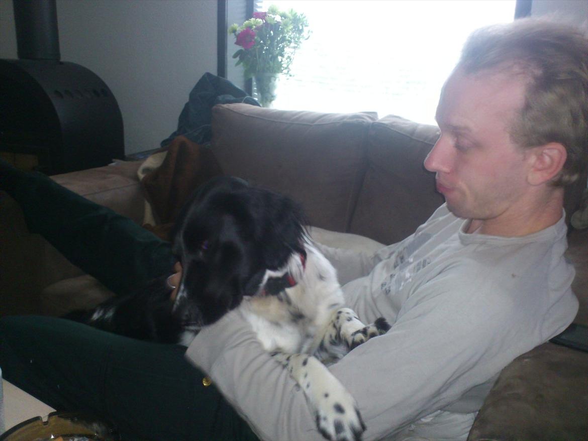 Blanding af racer Mille billede 5