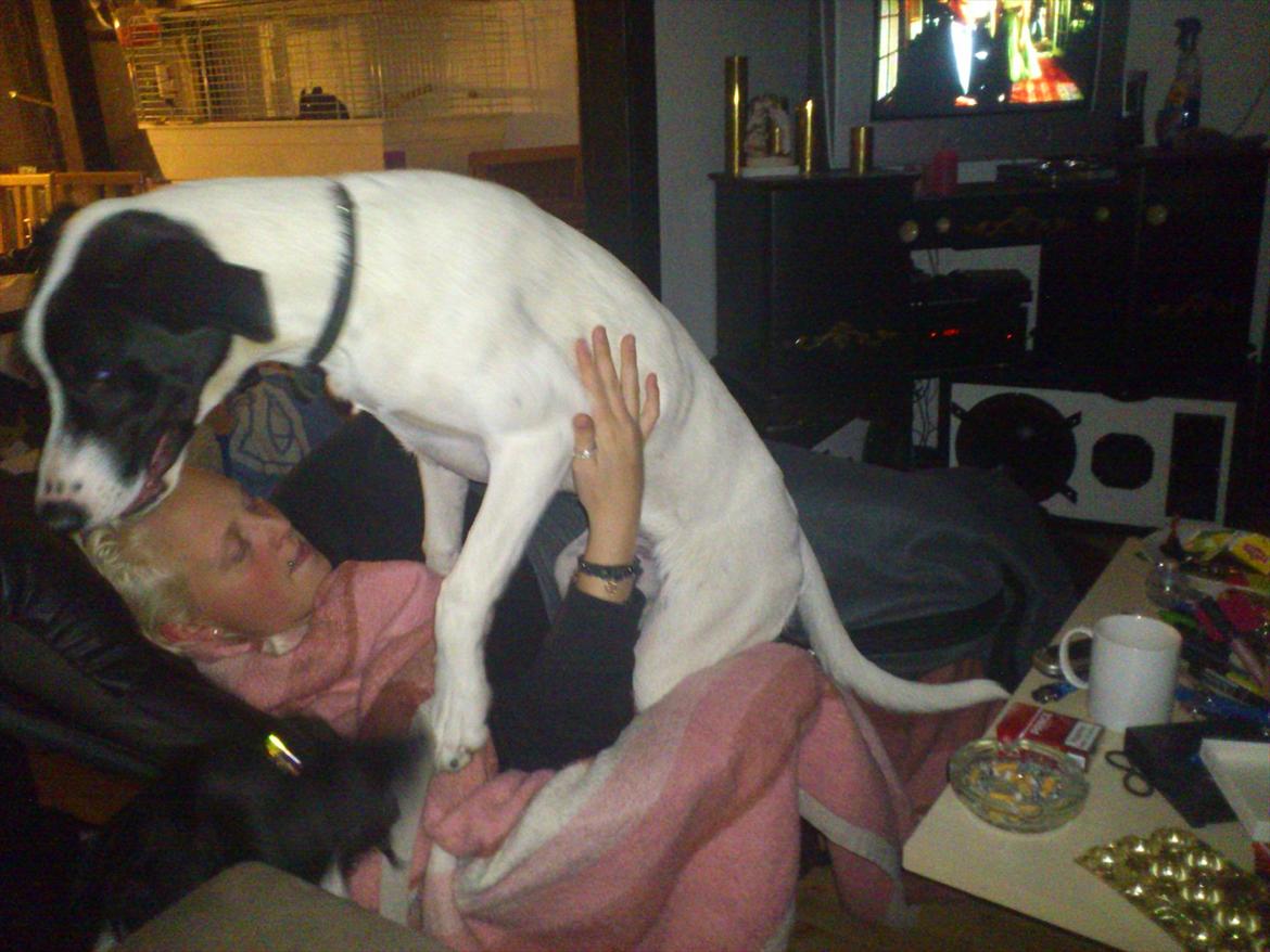 Blanding af racer bertha billede 6