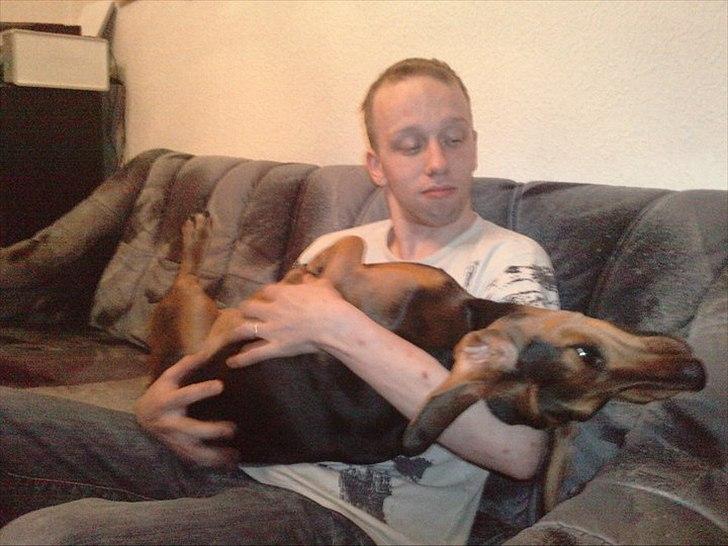 Blanding af racer basse billede 17