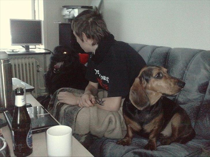 Blanding af racer basse billede 20