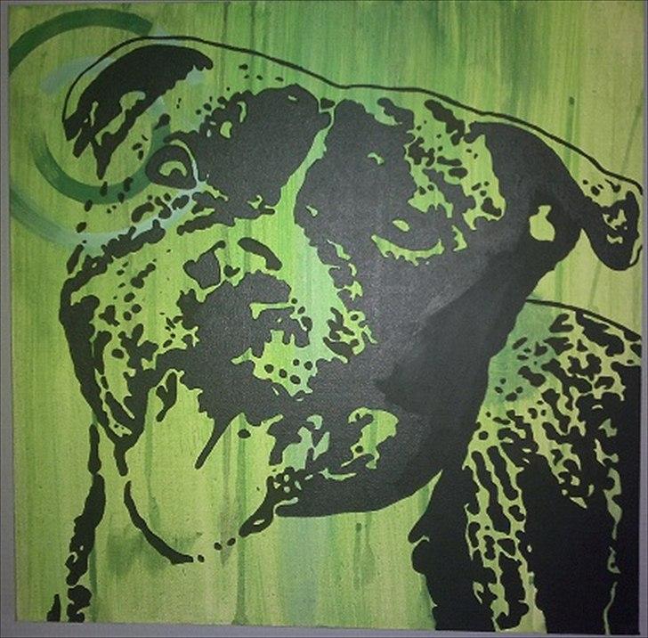 Staffordshire bull terrier Fancystaff Cody billede 17