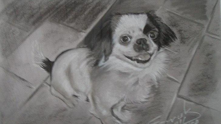 Japanese Tipo billede 4