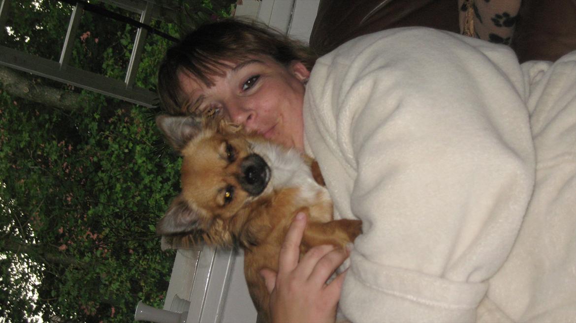 Chihuahua Høier's Nuggi - min lille øjesten og jeg. du er det bedste i verden Nuggi <3 <3 <3 september 2011 billede 20