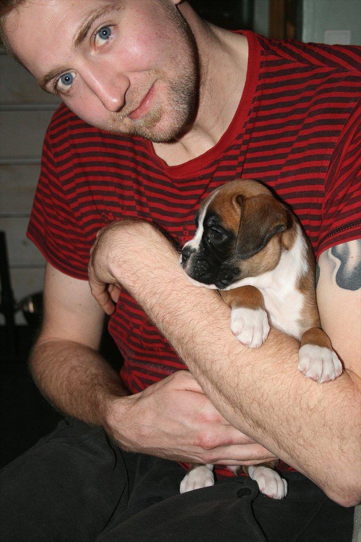 Boxer Mille billede 2