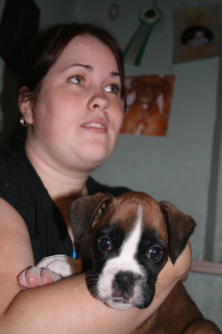 Boxer Mille billede 4