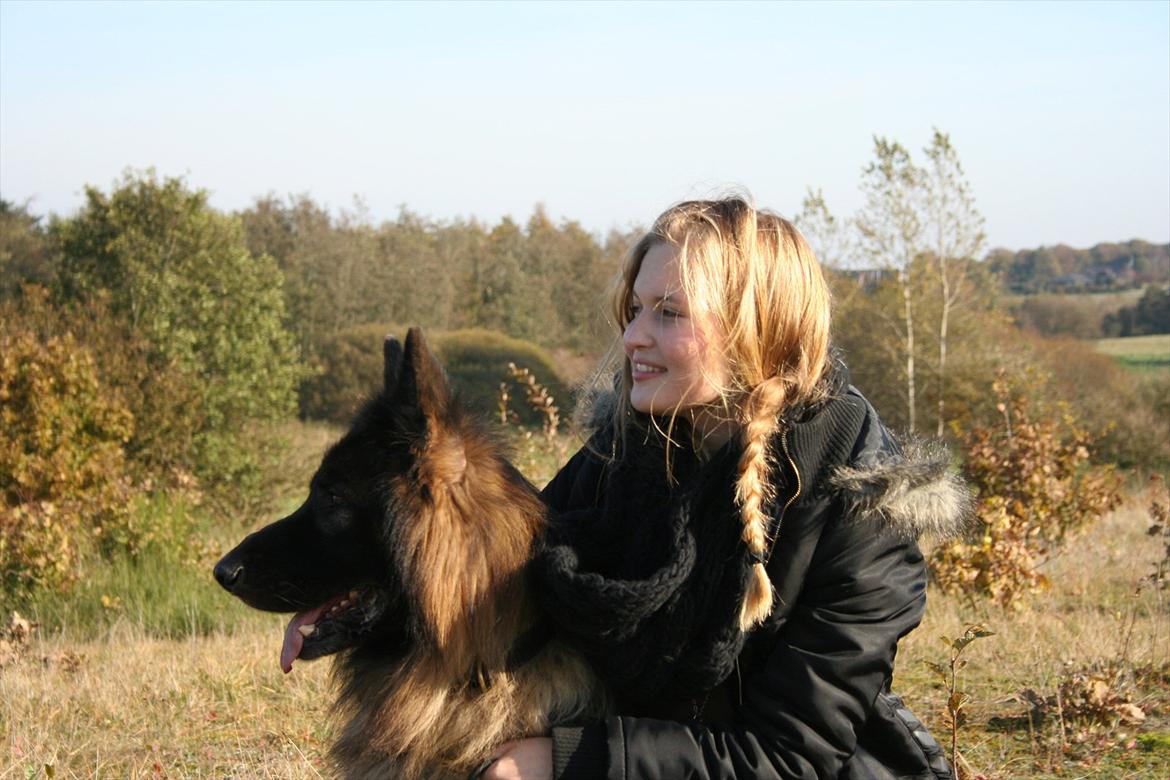 Schæferhund Perruchons Nemo - Fotograf: Marie Holm
Fotoshoot på heden 22-10-2011.
På billedet ses også Benedicte Perruchon. billede 8